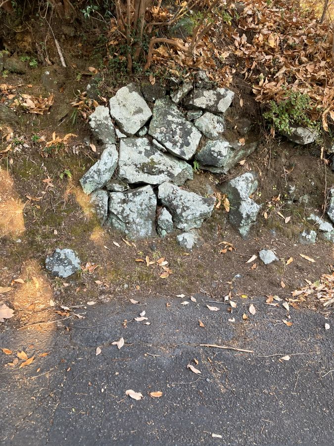 散歩中に見つけた石